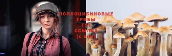 ПСИЛОЦИБИНОВЫЕ ГРИБЫ Алзамай