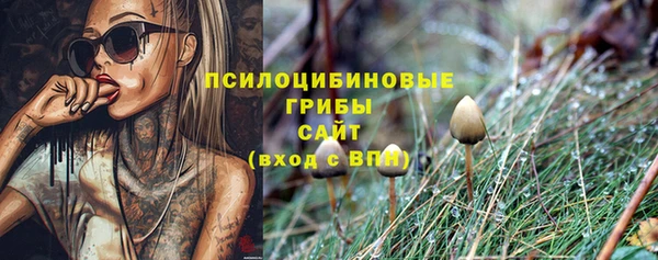 прущая мука Алексеевка