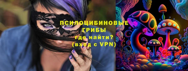 ПСИЛОЦИБИНОВЫЕ ГРИБЫ Алзамай