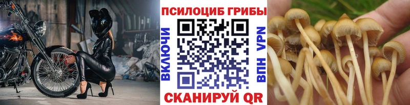 Псилоцибиновые грибы MAGIC MUSHROOMS  Малоархангельск 